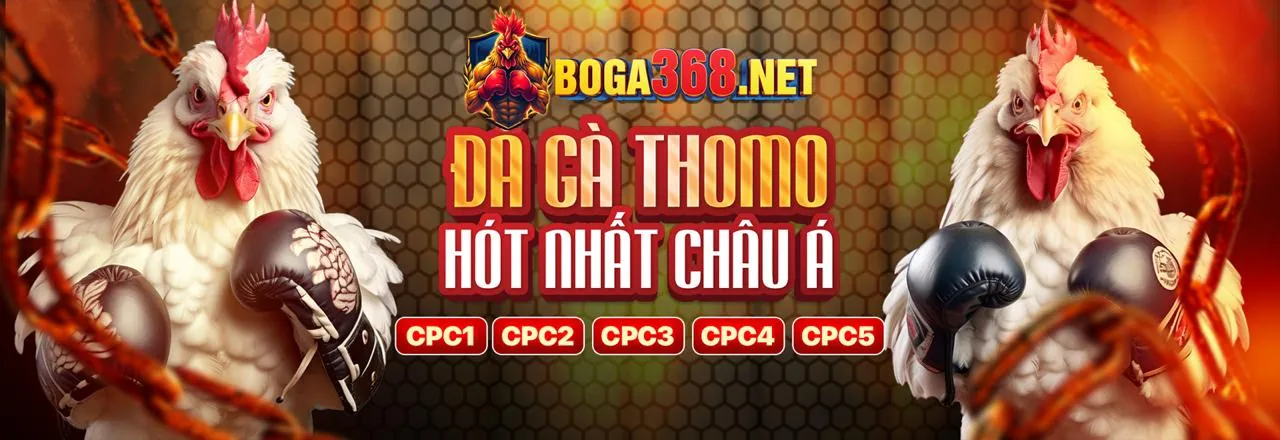 Sòng bạc trực tuyến Halo88 với các trò chơi đa dạng